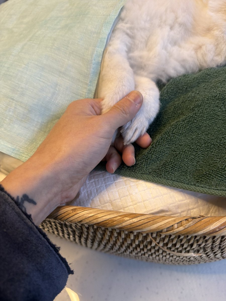 this photo kills me… grieve all u want, we’ll take it for u. it’s okay to feel a bit lost. u’re one strong person, and it’s okay for a strong person to feel vulnerable. cry all u want. sending u hugs and warmth &amp; i pray that you’ll feel better. 필요한 만큼 천천히 해 예성오빠 🤍