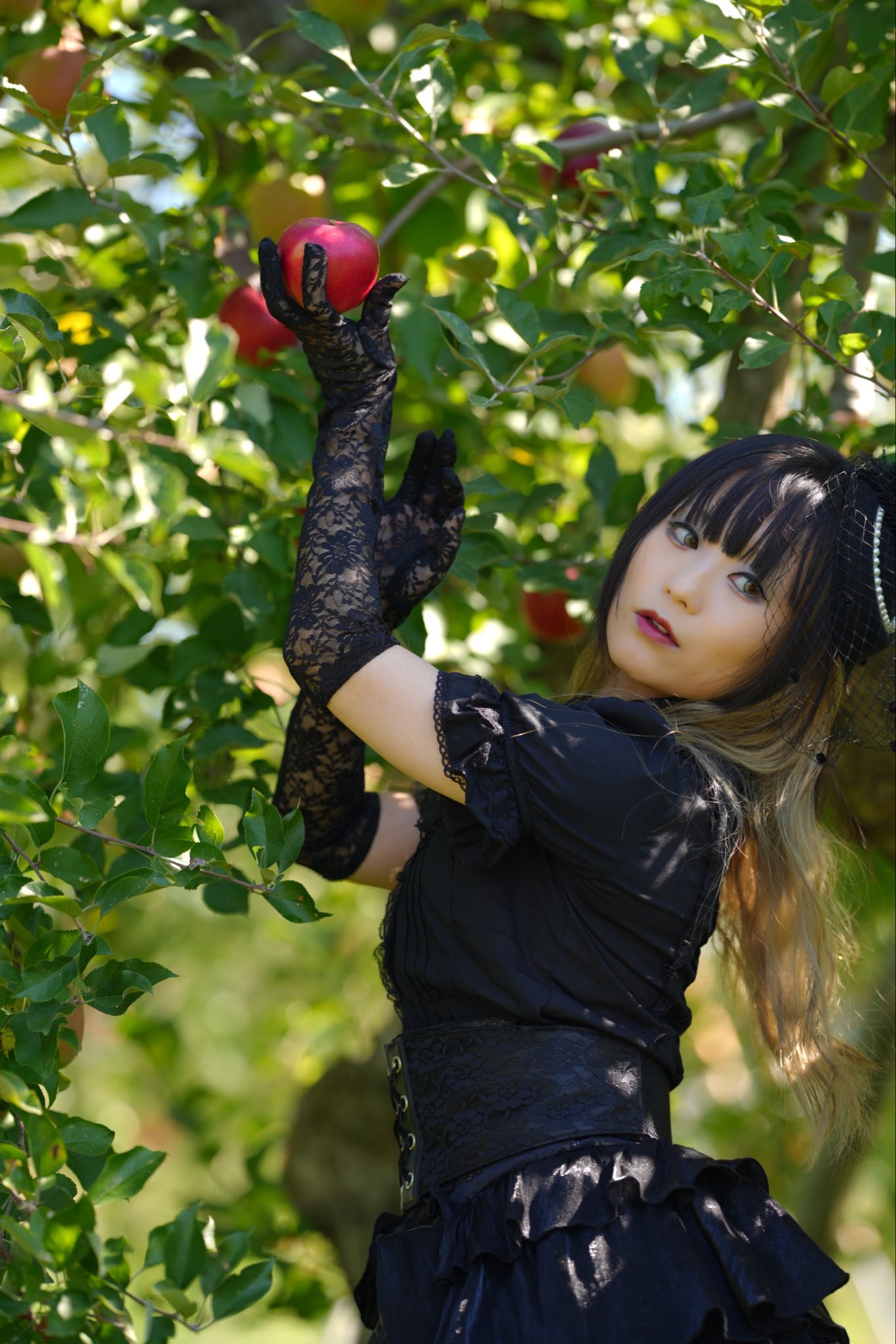 モンゴメリ 新月農園のエミリー 新月農園のエミリー | L.M.モンゴメリ