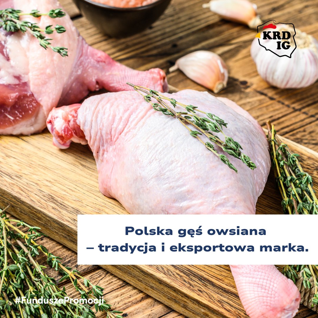 Polska od lat jest liderem eksportu gęsiny w UE. W 2024 r. ponad 67% produkcji trafiło na rynki zagraniczne, z czego największym odbiorcą pozostają Niemcy.

To dowód na to, że polska gęś owsiana cieszy się renomą i zaufaniem poza granicami kraju – postrzegana jest jako produkt