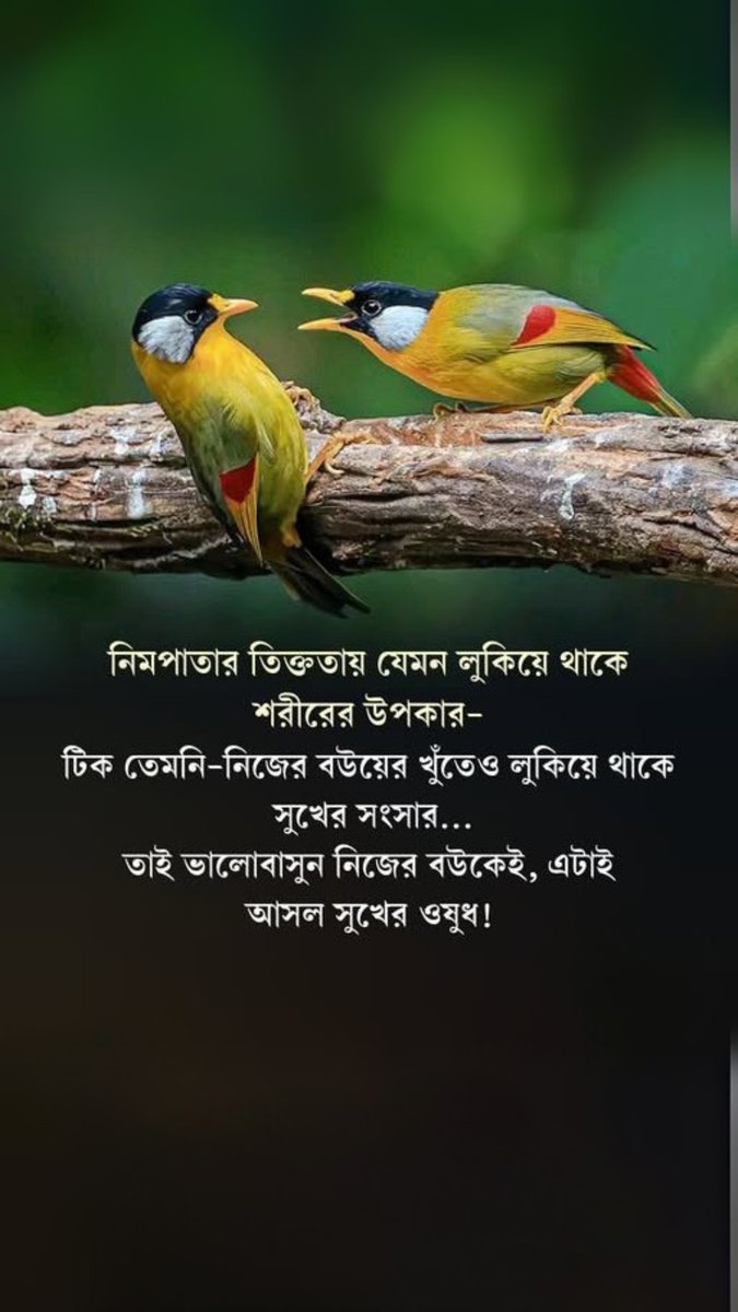 Juda chiroyli dumba bilan videolar