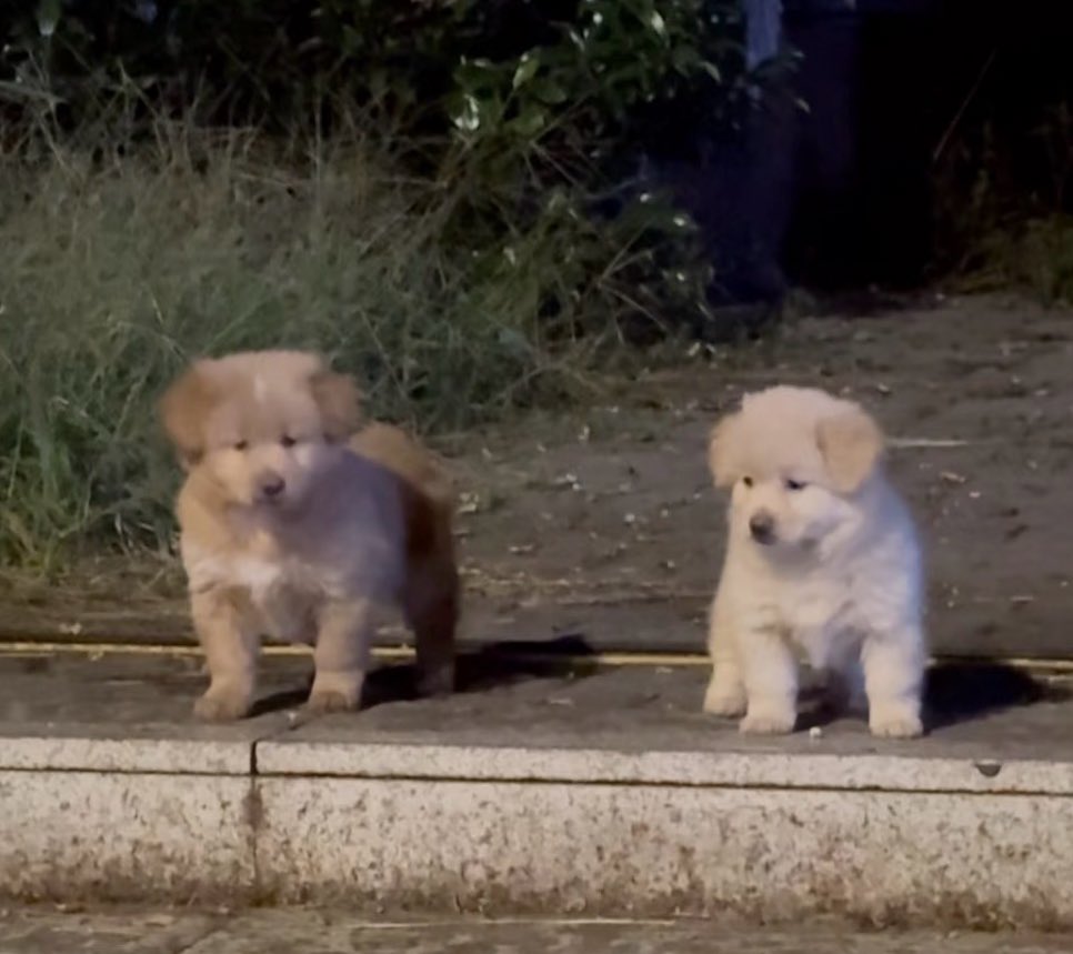 ตะมีใคเล่นกะเราไม เพิ่น