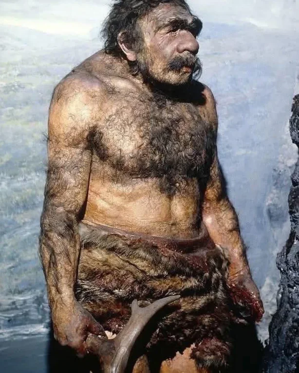 A forensic reconstruction of a Neanderthal man from 130,000 to 40,000 years ago has gone viral on X. 

2MydFbsX7W1UZAxxWYSnxA2GdNp1e3UQDXnevUuVpump

x.com/PicturesFoIder…