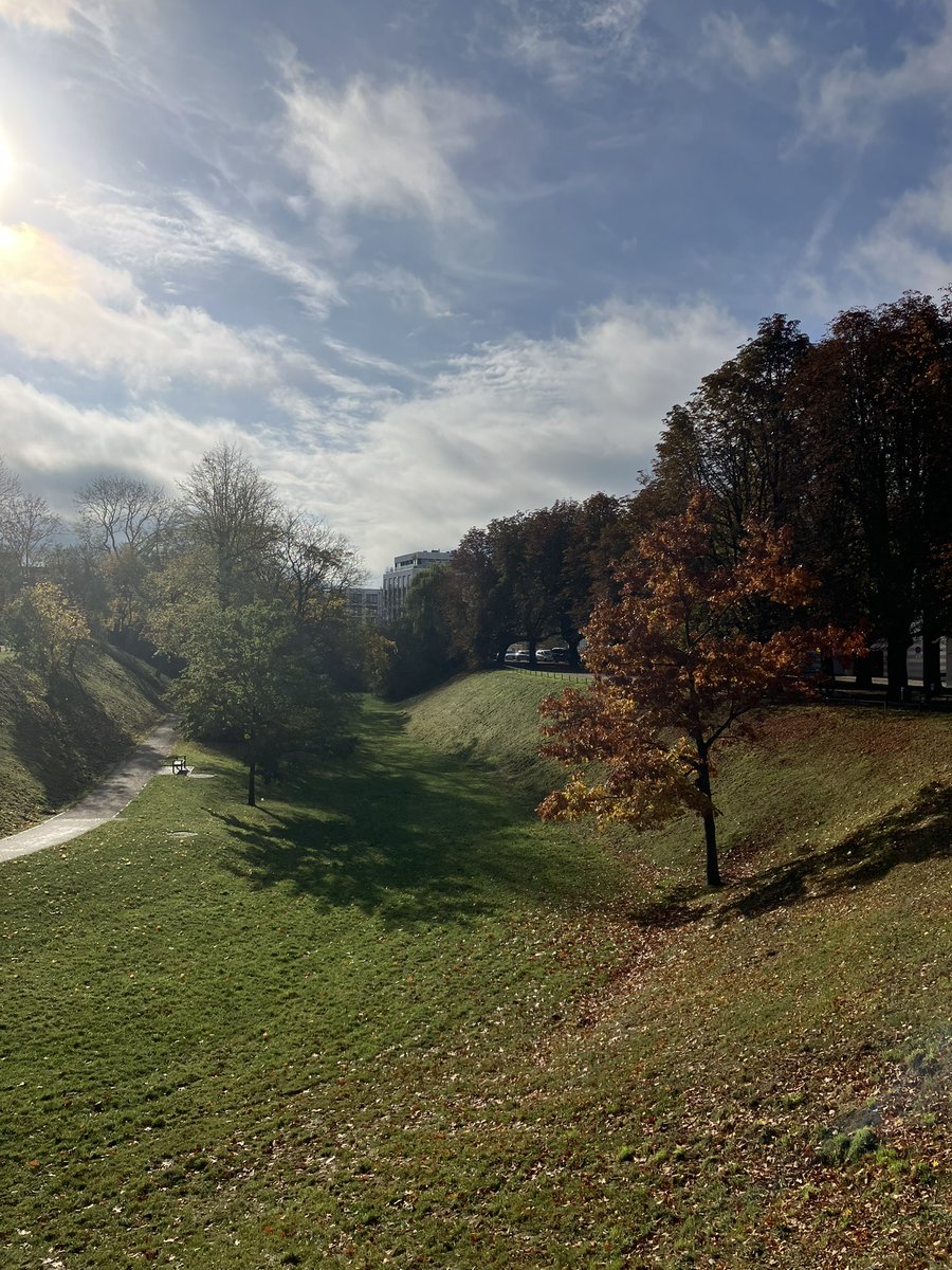 René de Haan tweet media