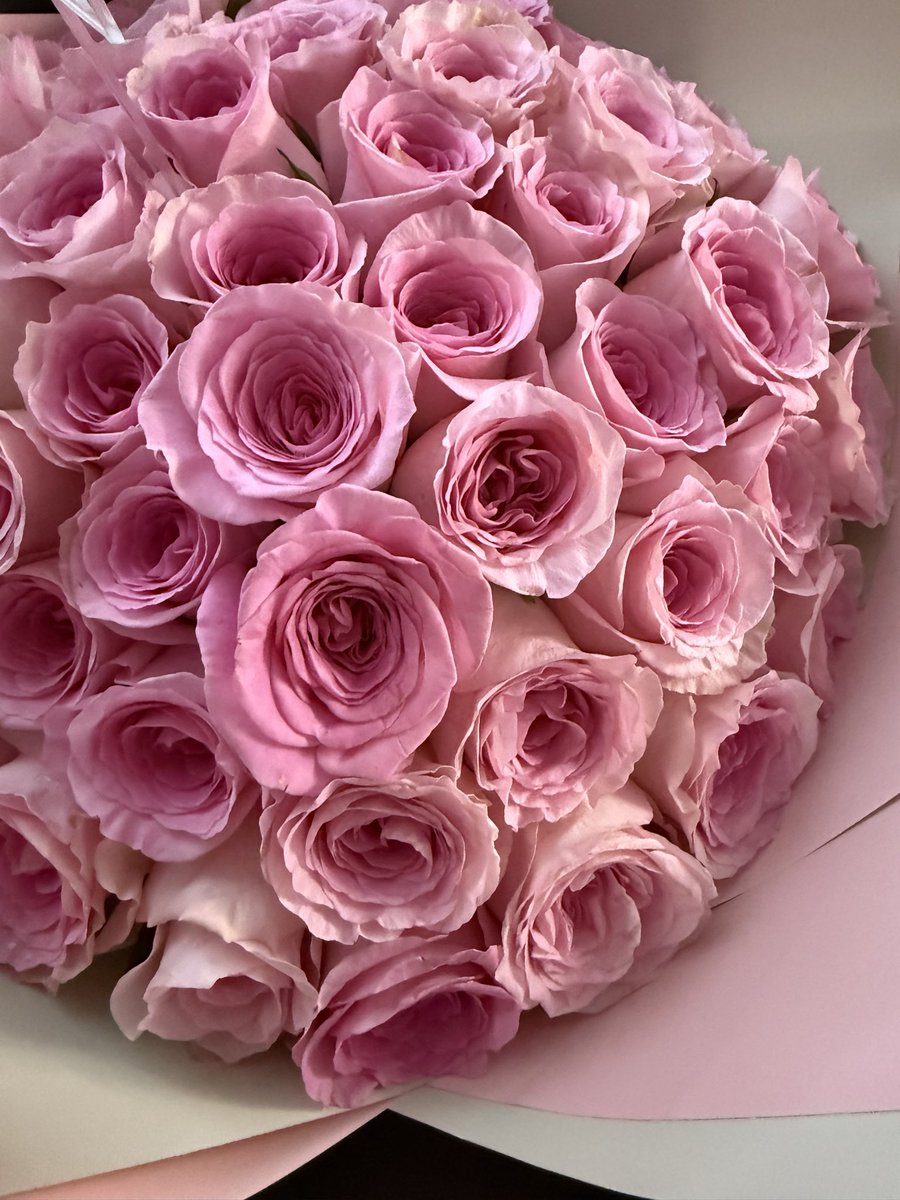 ivylimcc's tweet image. 50 pink roses for unconditional love
Received with a warm fuzzy feeling

#loveflowers
#gratefulforallthingsbigandsmall