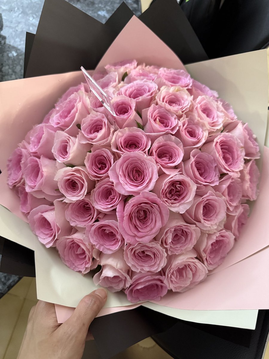 ivylimcc's tweet image. 50 pink roses for unconditional love
Received with a warm fuzzy feeling

#loveflowers
#gratefulforallthingsbigandsmall