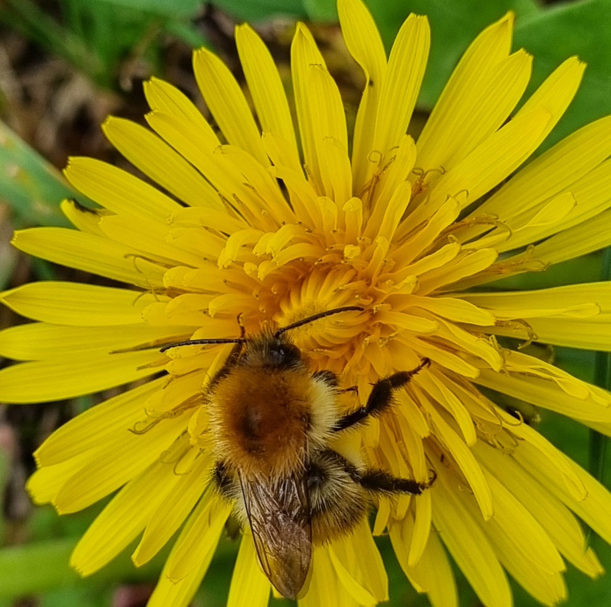 MerielGJones tweet media