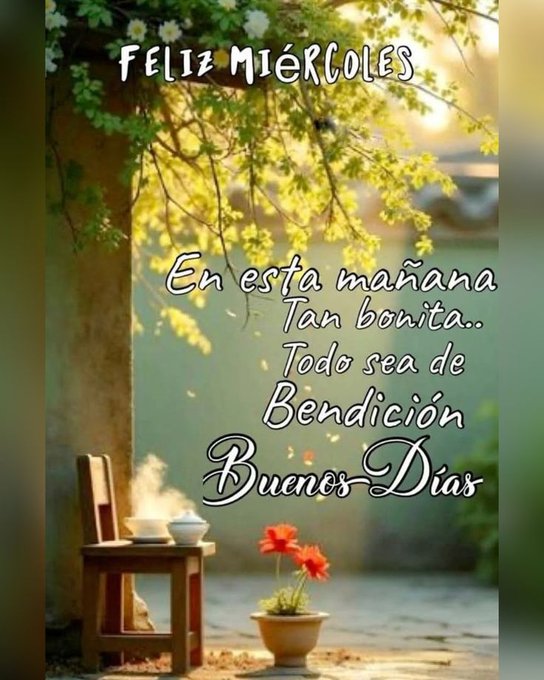 Scenic outdoor image with green foliage and yellow sunlight filtering through tree branches in the background. A small wooden table positioned in the foreground holds two white cups with steam rising, suggesting hot beverages. A terracotta pot containing a vibrant red flower sits on the table. Overlaid white text in Spanish reads Feliz Miercoles at the top, En esta manana tan bonita below it, Todo sea de Bendicion centered underneath, and Buenos Dias at the bottom.