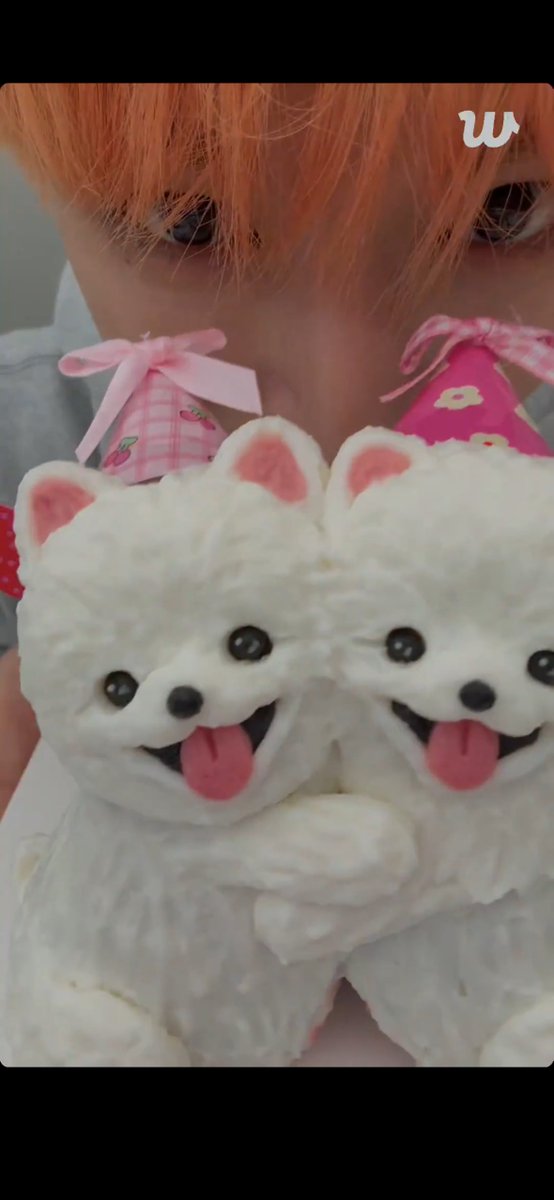 ronzuiqi's tweet photo. ほんとにほんとに生まれてきてくれてありがとうㅠㅠケーキもリウも可愛くて最高だったウィバラ😭 https://t.co/3updyF5c6l