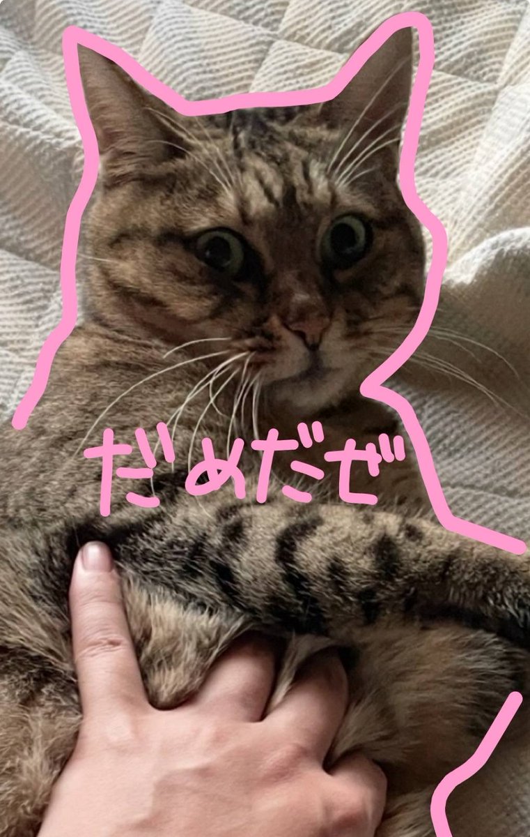 4円 tweet media