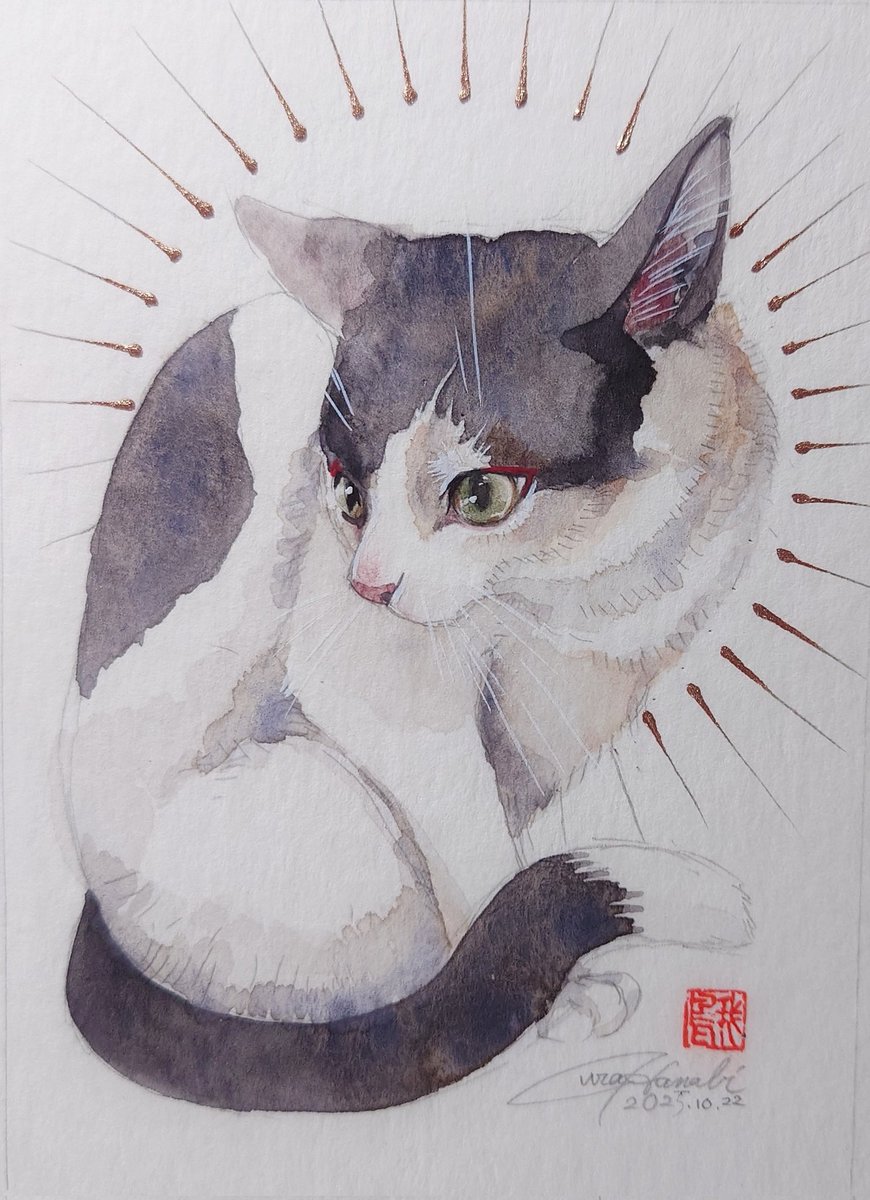 「22日目2025/10/22 画材 水彩絵具、顔彩、鉛筆 用紙 アルビレオ 本日」|裏花火のイラスト