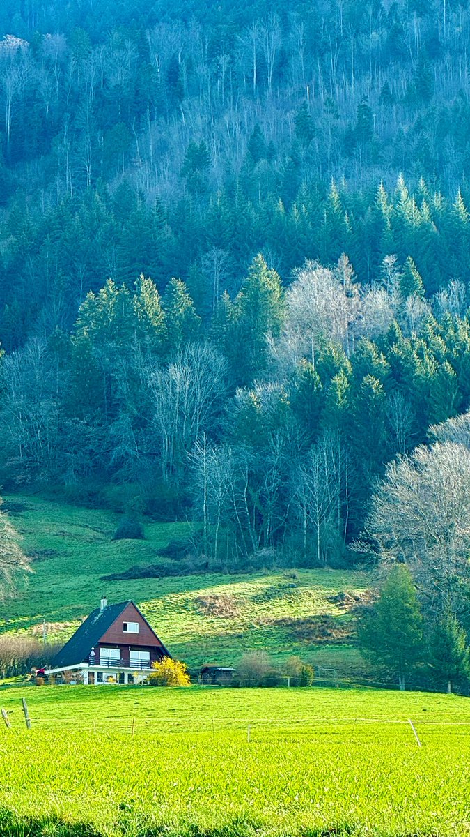 jedicars's tweet image. This case I&apos;m working on feels like a jigsaw puzzle where half the pieces are missing!  It&apos;s challenging but I love a good puzzle  🧩 #CaseWork #Mystery  #CommunityWorker