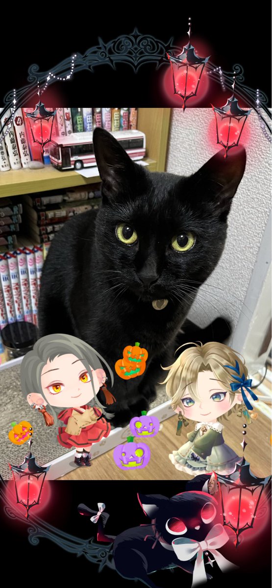 きりお（KIRIO） (@kirio848) / Posts / X