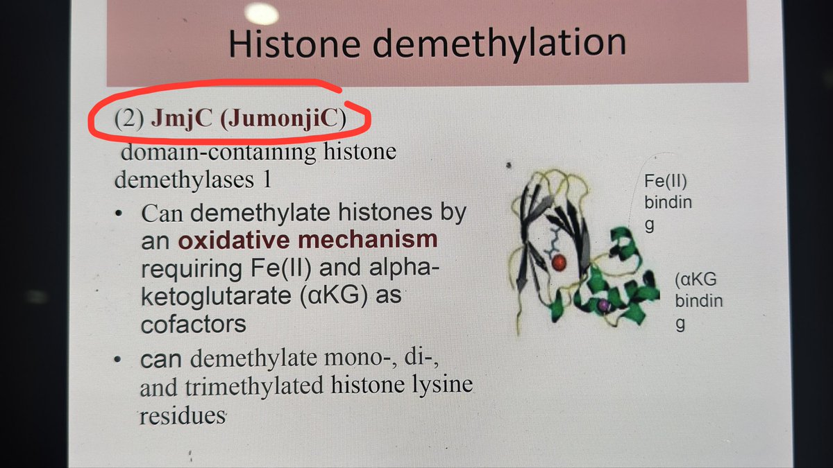 Gab Pascual, RMT, MD 👨‍⚕️🩺 tweet media