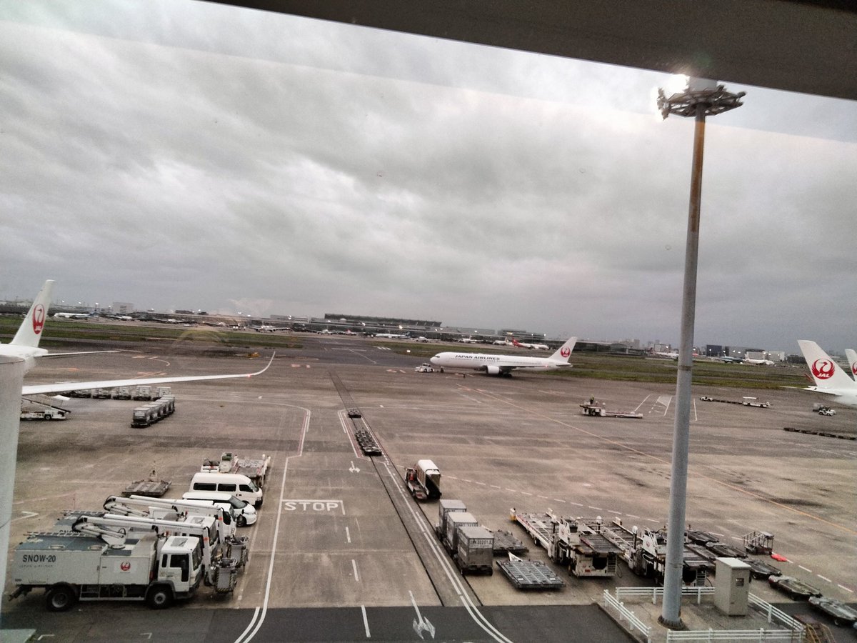 日曜夕刻
羽田空港
JALサクララウンジ

この時間帯の
この空間
懐かしい先輩や知人を時々見かける

先週も「●●君だよね？」
って突然声をかけられて、
ほんの数分、いや数十秒、会話した

空港って
出発地で、到着地で、
人間交差点だよね

#JAL