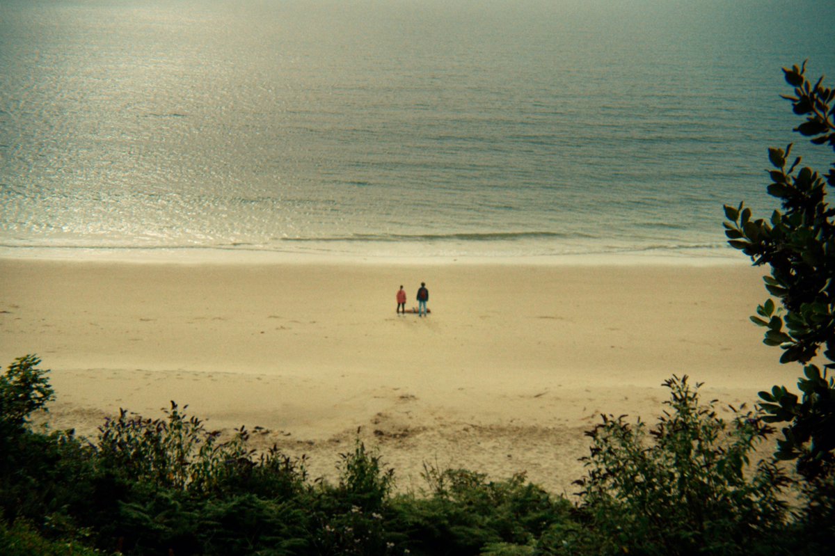 Seal Rescue Ireland tweet media