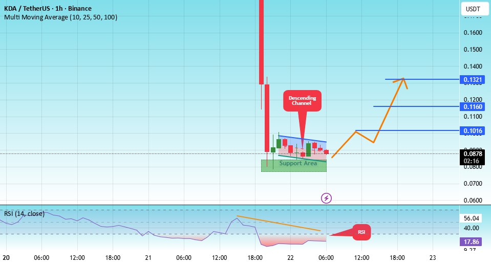 Alexandra Sofia tweet media