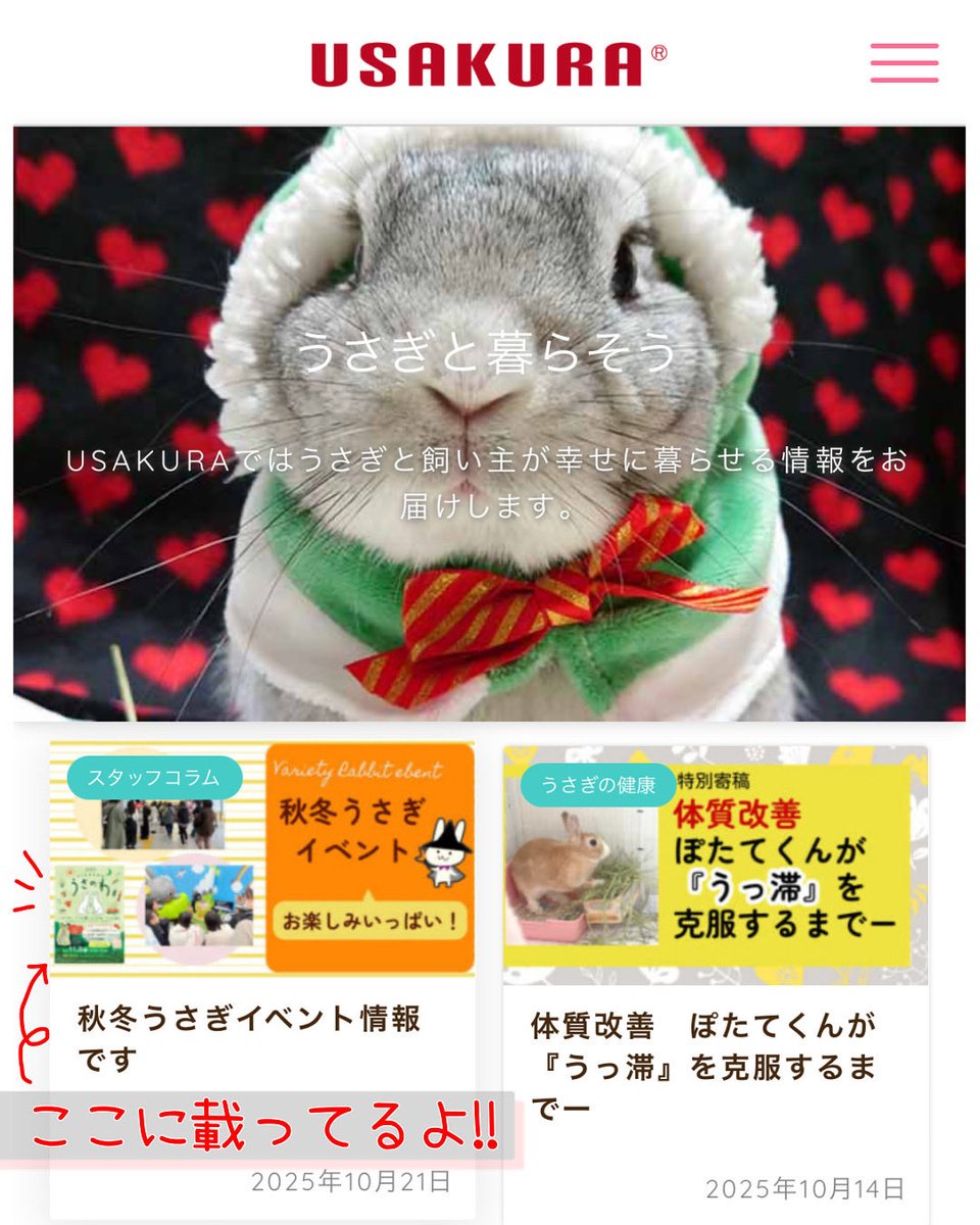 虎うさぎ Amazon.co.jp: 【UMU】 ツキウタ。 4月 卯月 新（うづき あらた