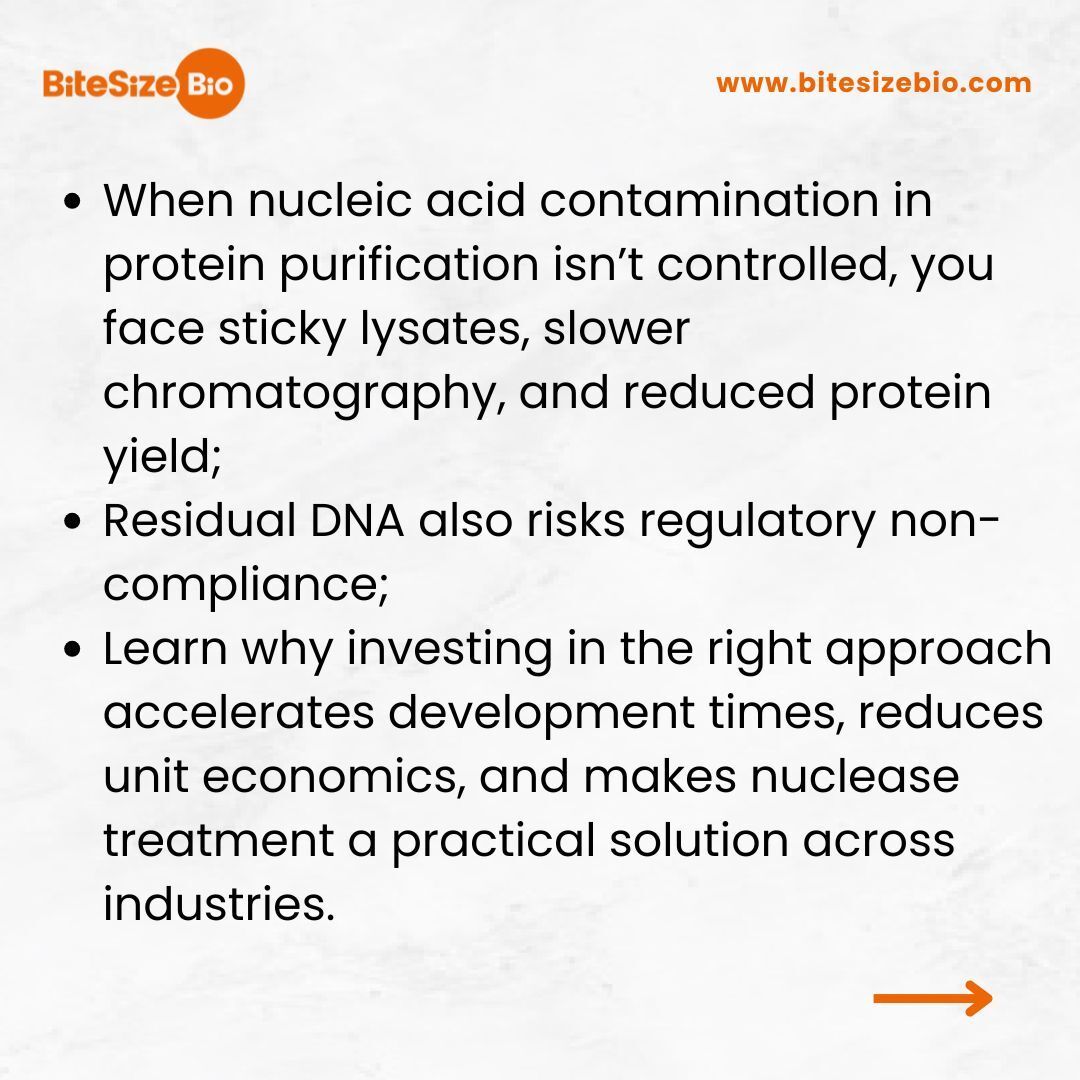 BitesizeBio's tweet image. Don’t let DNA contamination derail your protein purification. Discover how the right nuclease strategy accelerates development times and reduces unit economics. Read Now → buff.ly/NhFeo4c #ProteinPurification #Bioprocessing #LabTips