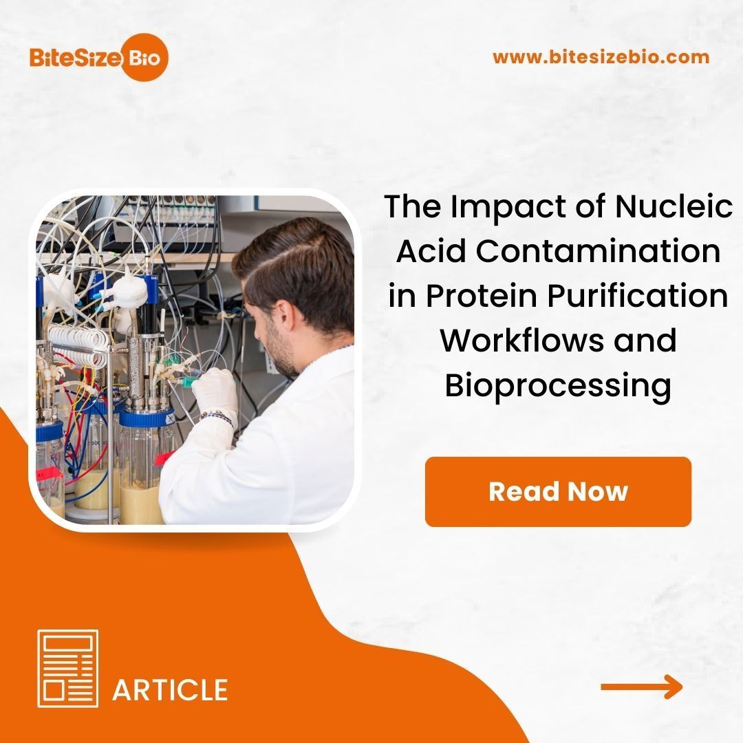 BitesizeBio's tweet image. Don’t let DNA contamination derail your protein purification. Discover how the right nuclease strategy accelerates development times and reduces unit economics. Read Now → buff.ly/NhFeo4c #ProteinPurification #Bioprocessing #LabTips