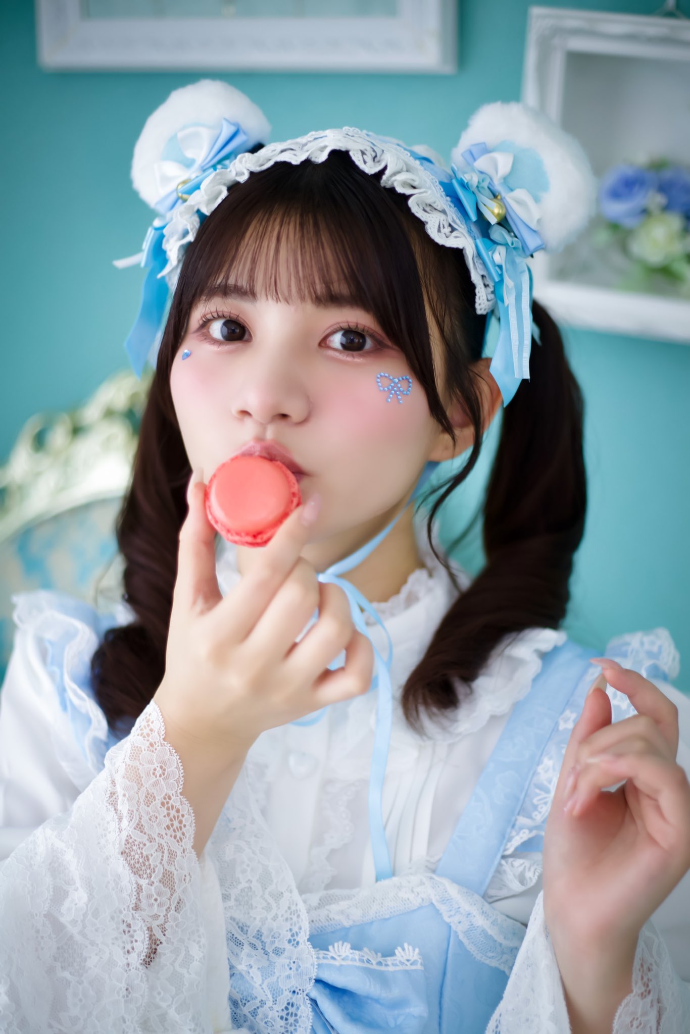 ぽんちゃん ぽんちゃんふぉと - Search / X