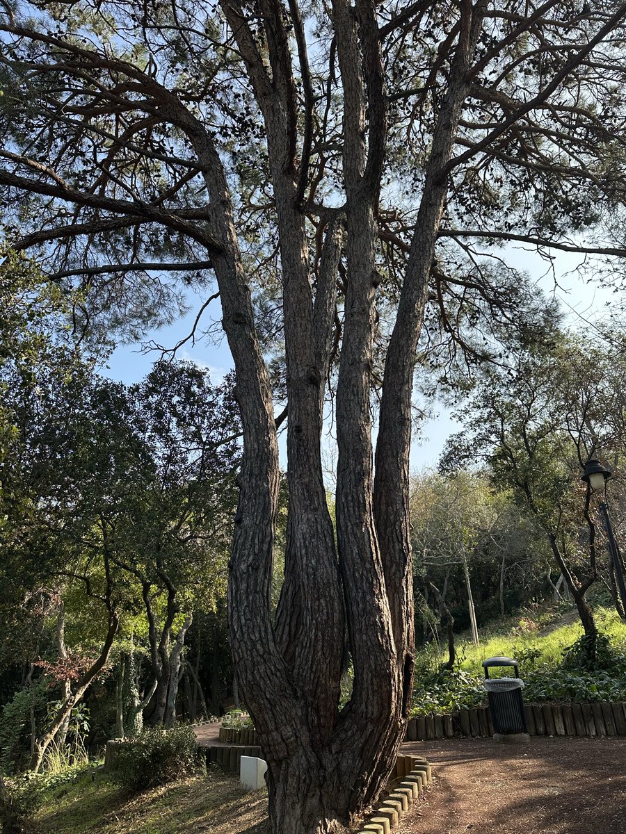 Durma harekete geç. Spor hayattır.💥