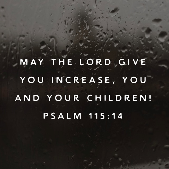 RickHaasl's tweet image. #WOD~Psalm 115:14
Pray for an increase in desired traits rather than an increase in "numbers." Desired traits will solidify and increase numbers, but numbers will never solidify or increase desired traits. #STTA #Passion #Joy #Wisdom #Laughter 

#MTWG #Life101_2025 ⏳ #Fix 💪🏼