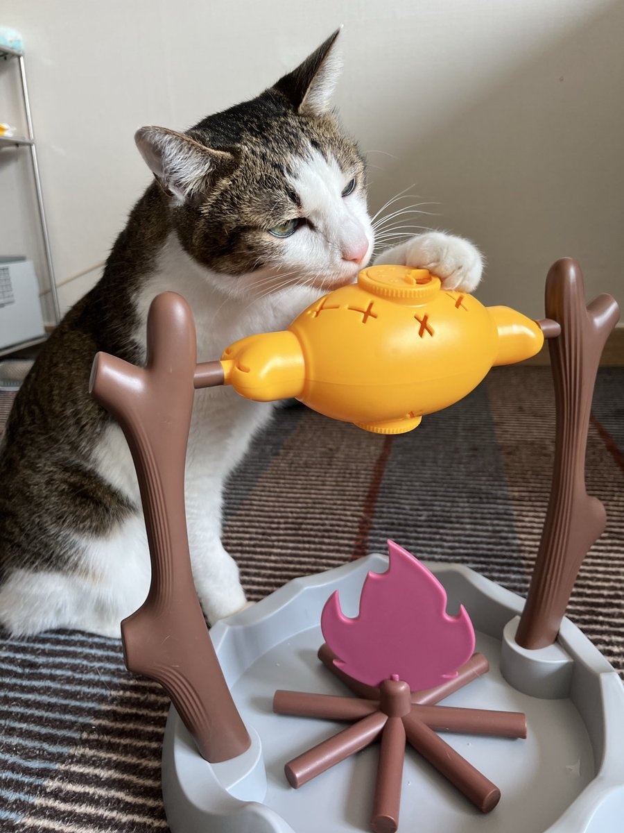 이거 사준 이후로 출출하면 영원히 돌리고 있음