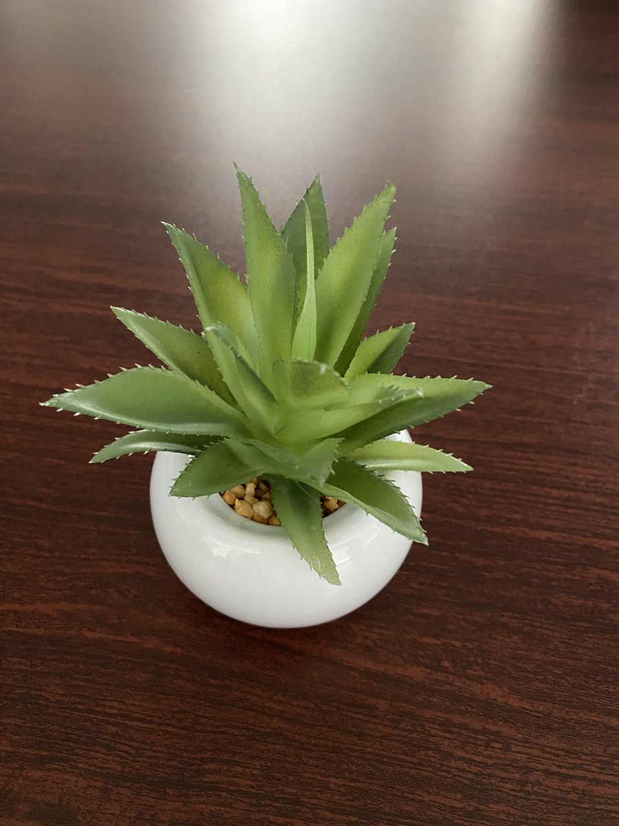 DesignEngineerZ's tweet image. おはようございます！

週の真ん中水曜日🫧

あと2日頑張りましょう💪

#エンジニア #エンジニアと繋がりたい #企業公式相互フォロー #企業公式秋のフォロー祭り #企業公式さんと繋がりたい #企業公式が地元の天気を言い合う #企業公式が朝の挨拶を言い合う #企業公式つぶやき部