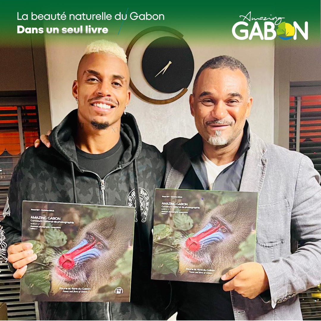 AmazingGabon tweet media