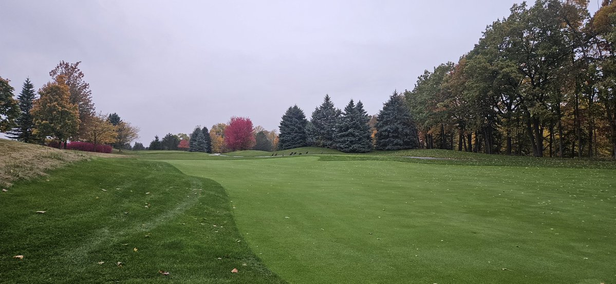 _ScottsStuff's tweet image. #Morningview 🦃🦃🦃