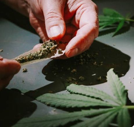 CannabisJrnl's tweet image. 🌿 Study: Cannabis purchasing decisions vary by user type. Retail employees care less about THC, more about brand &amp;amp; appearance. Frequent users value strain, production method, price &amp;amp; appearance.

Read more: doi.org/10.1177/257851…

#CannabisResearch #ConsumerBehavior #THC