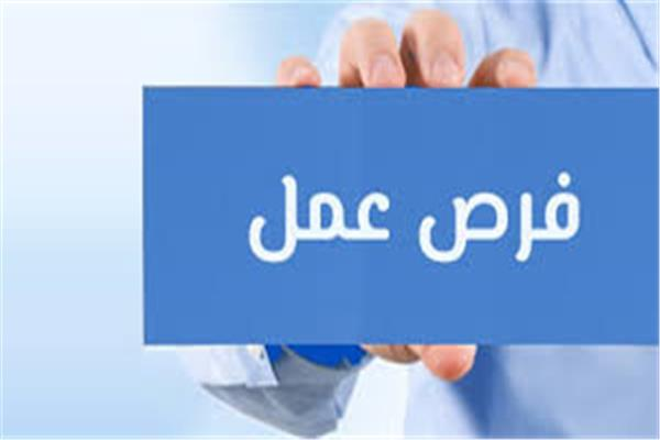 عاجل.. وزارة الري تعلن عن تعيينات جديدة.. الشروط والأوراق المطلوبة #بوابة_أخبار_اليوم 