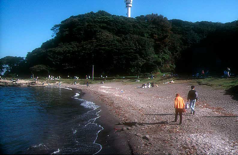 htomsn's tweet photo. 三浦半島、観音碕海水浴場と観音崎灯台。
この浜辺も夏は海水浴場として賑わうところですが、秋も深まると静かな浜辺となります。#kantoNK https://t.co/xy72VjPHCX