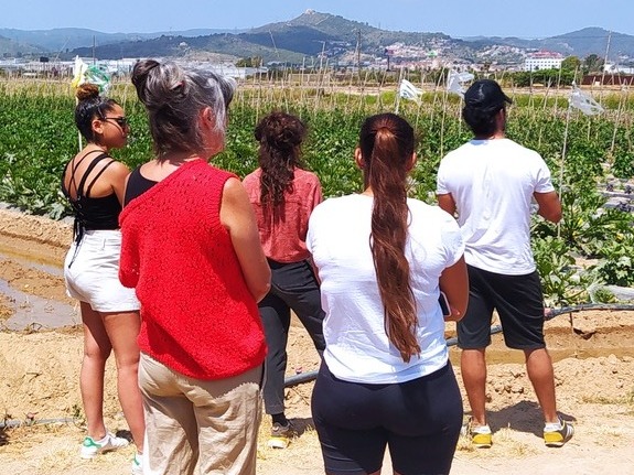 intermediae tweet media