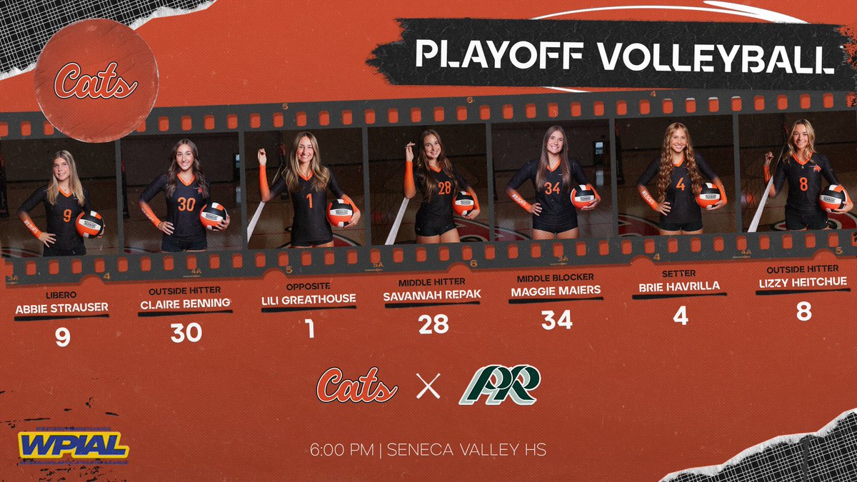 Greater Latrobe Wildcat Athletics tweet media