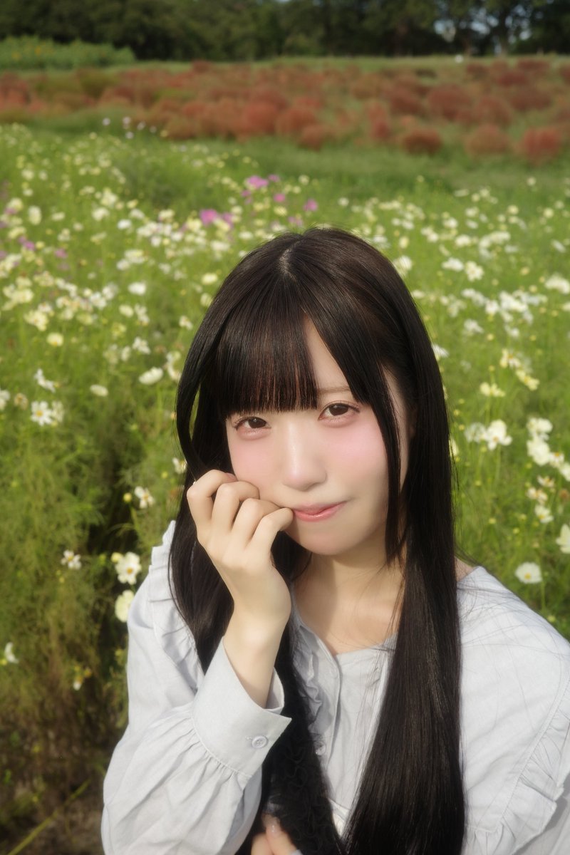 西野 萌夏(Stella!) (@stella_moeka) on Twitter photo 