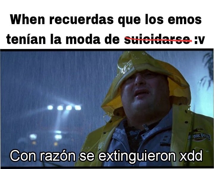 El PInguino Roca tweet media