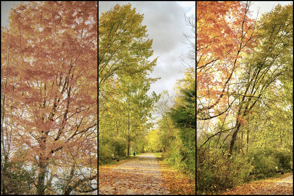 Tom Marron Photo LLC tweet media