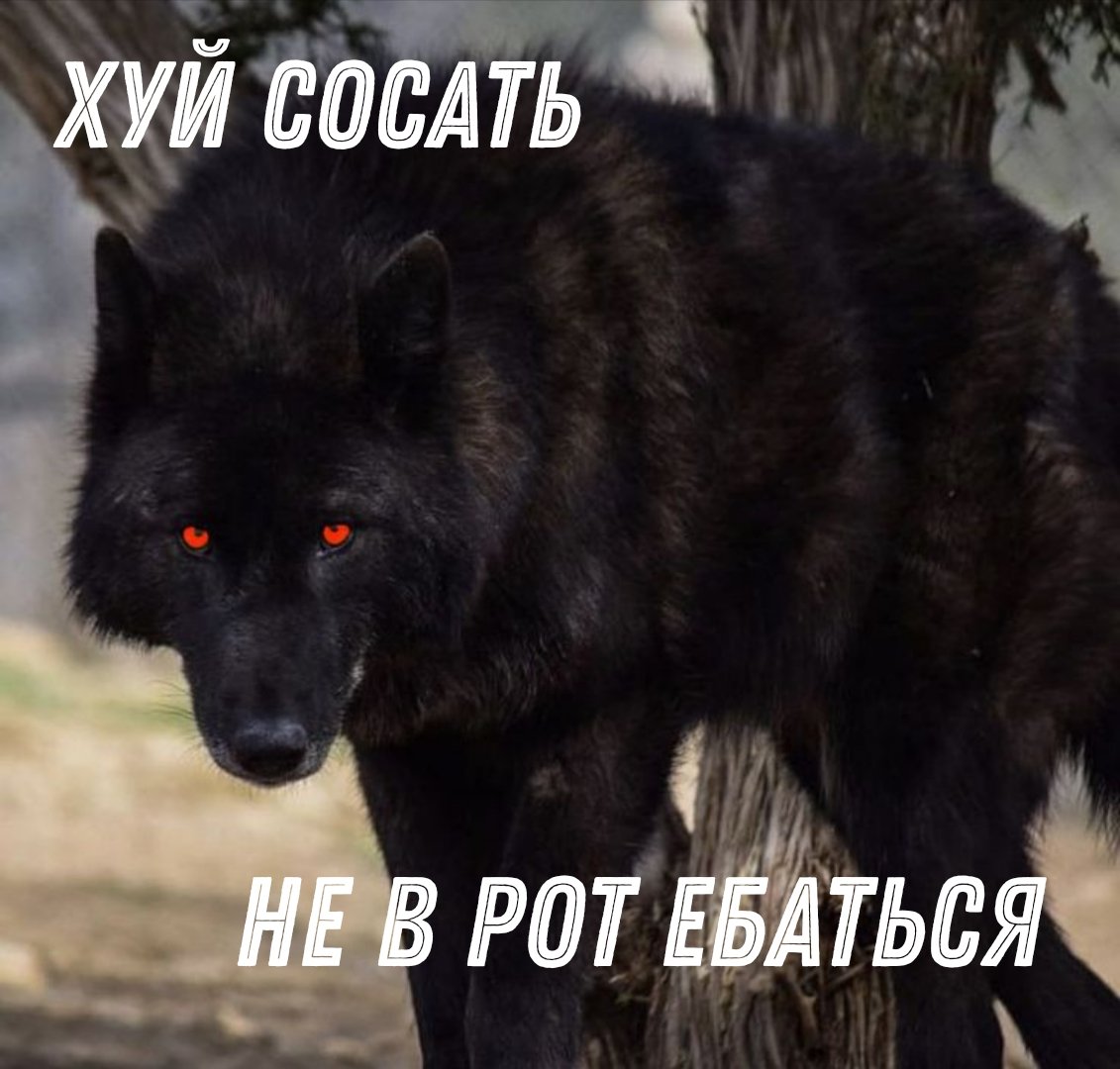 pyro_shok's tweet photo. @RozovayaShayrma не нашёл у других, сделал сам. https://t.co/fO3O3TC7wR