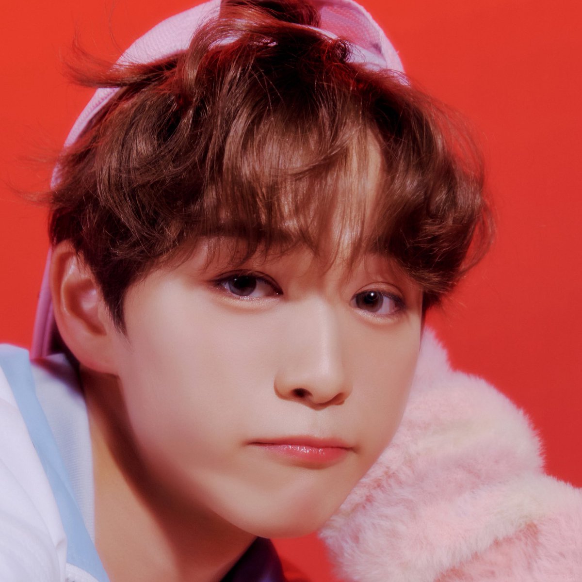 ニモ (@null0603null) / X