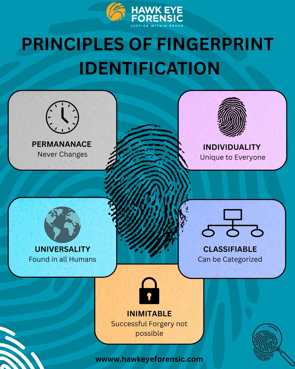 ForensicHawk's tweet image. 𝐏𝐑𝐈𝐍𝐂𝐈𝐏𝐋𝐄𝐒 𝐎𝐅 𝐅𝐈𝐍𝐆𝐄𝐑𝐏𝐑𝐈𝐍𝐓 𝐈𝐃𝐄𝐍𝐓𝐈𝐅𝐈𝐂𝐀𝐓𝐈𝐎𝐍

1. 𝐏𝐞𝐫𝐦𝐚𝐧𝐞𝐧𝐜𝐞 
2. 𝐈𝐧𝐝𝐢𝐯𝐢𝐝𝐮𝐚𝐥𝐢𝐭𝐲
3. 𝐔𝐧𝐢𝐯𝐞𝐫𝐬𝐚𝐥𝐢𝐭𝐲
4. 𝐈𝐧𝐢𝐦𝐢𝐭𝐚𝐛𝐥𝐞 
5.𝐂𝐥𝐚𝐬𝐬𝐢𝐟𝐢𝐚𝐛𝐥𝐞

Every Print Tells A Story
#Forensicscience #Hawkeyeforensic