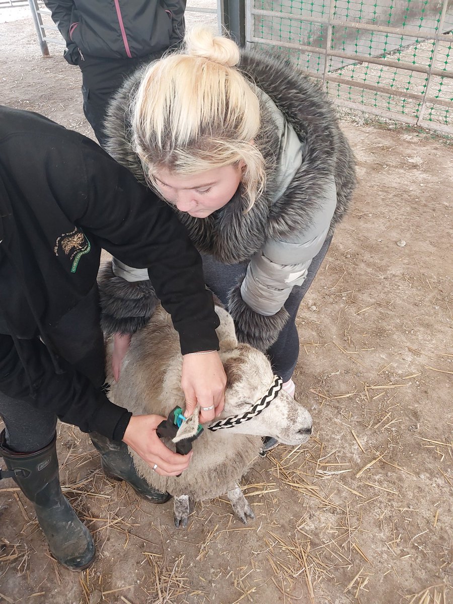 Kent Police Maidstone tweet media