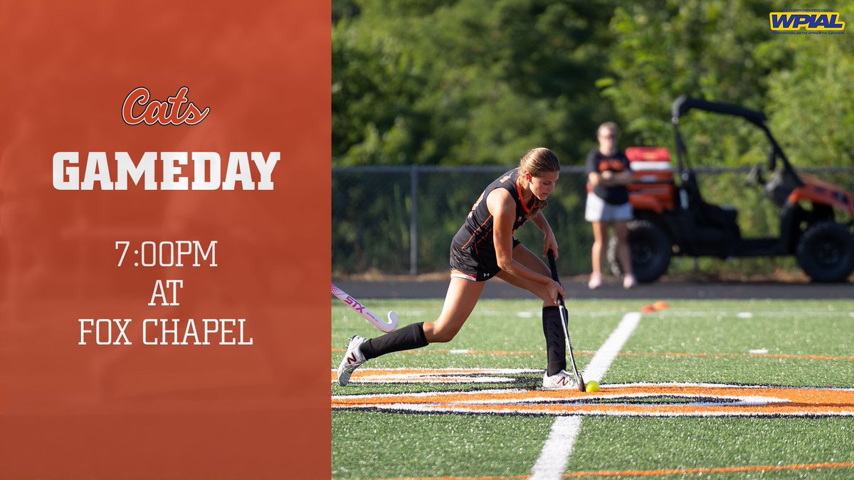 Greater Latrobe Wildcat Athletics tweet media