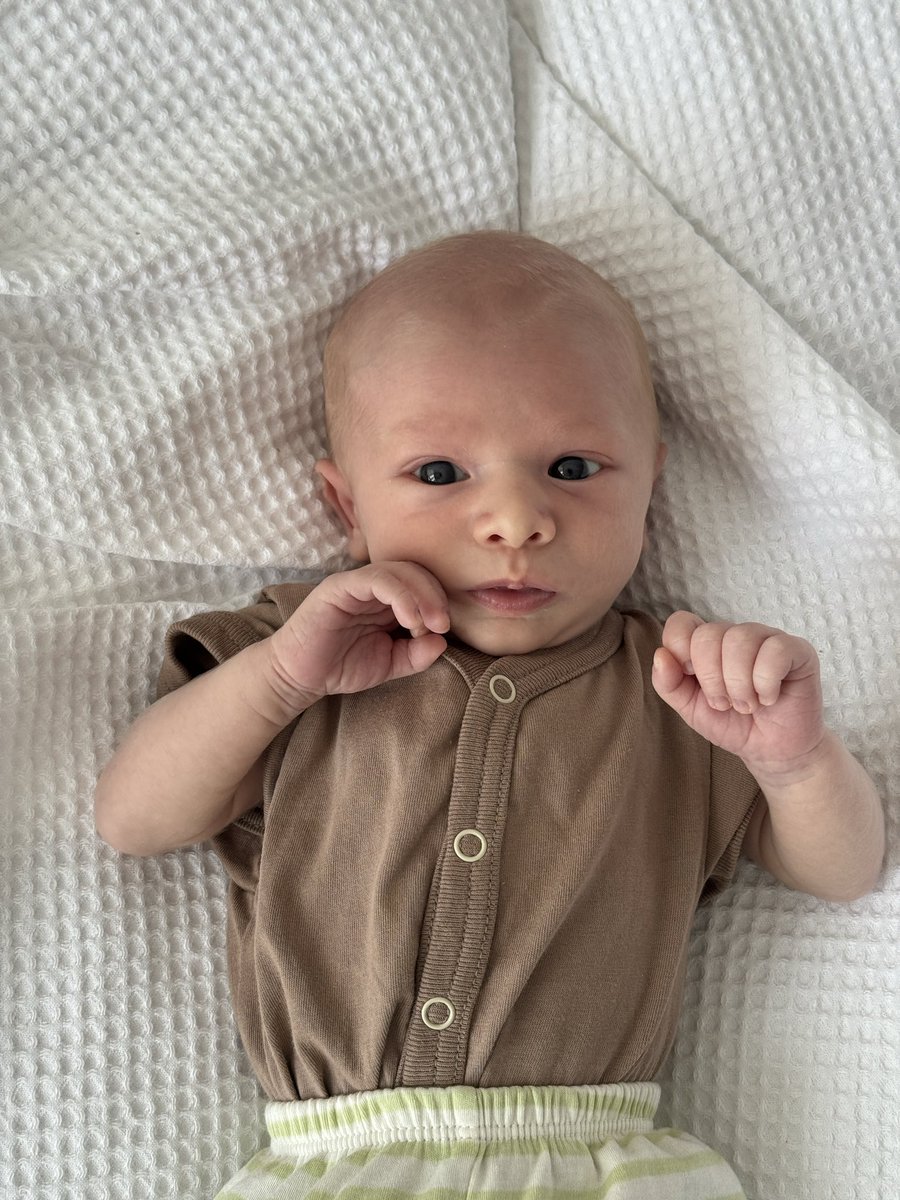 Михаил Светов tweet media