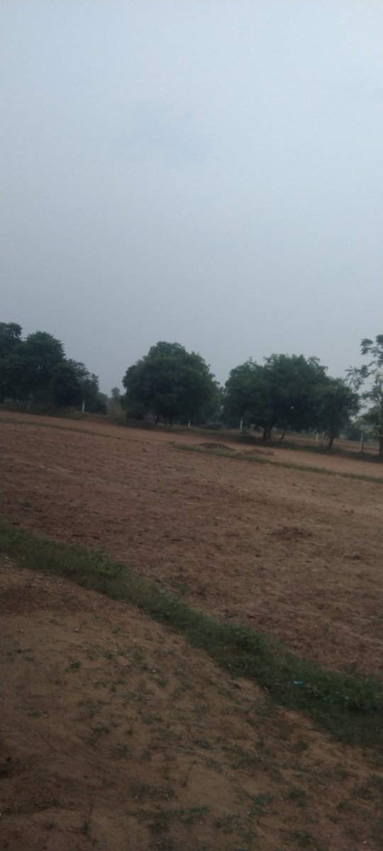 Annu meena tweet media