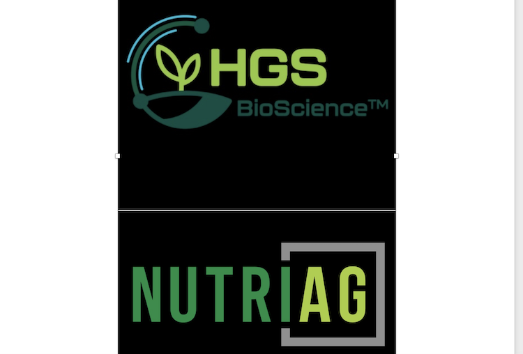 HGS BioScience acquires NutriAg Ltd, expanding its leadership in biostimulants and bionutritionals across North America. <a href="/Nutri/">nutri</a>-Ag 
thegrower.org/news/hgs-biosc…