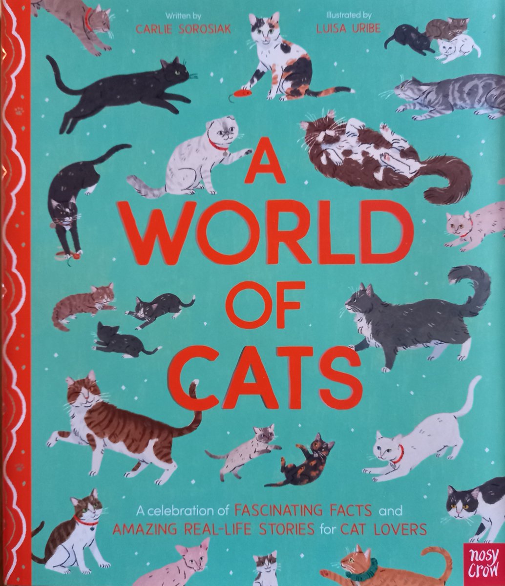 Jane Sandell tweet media