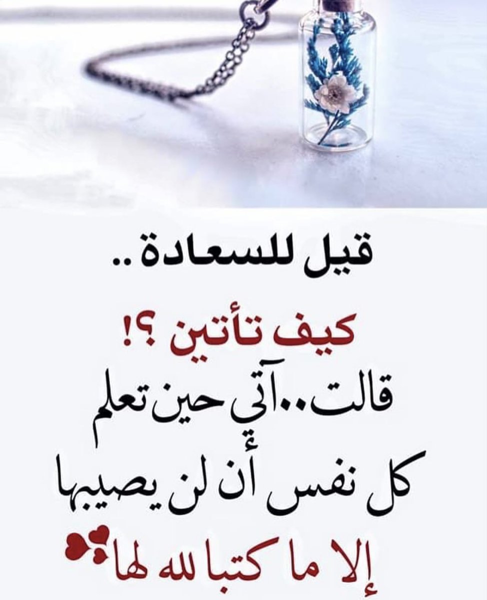 ZynbAlrfa's tweet image. 