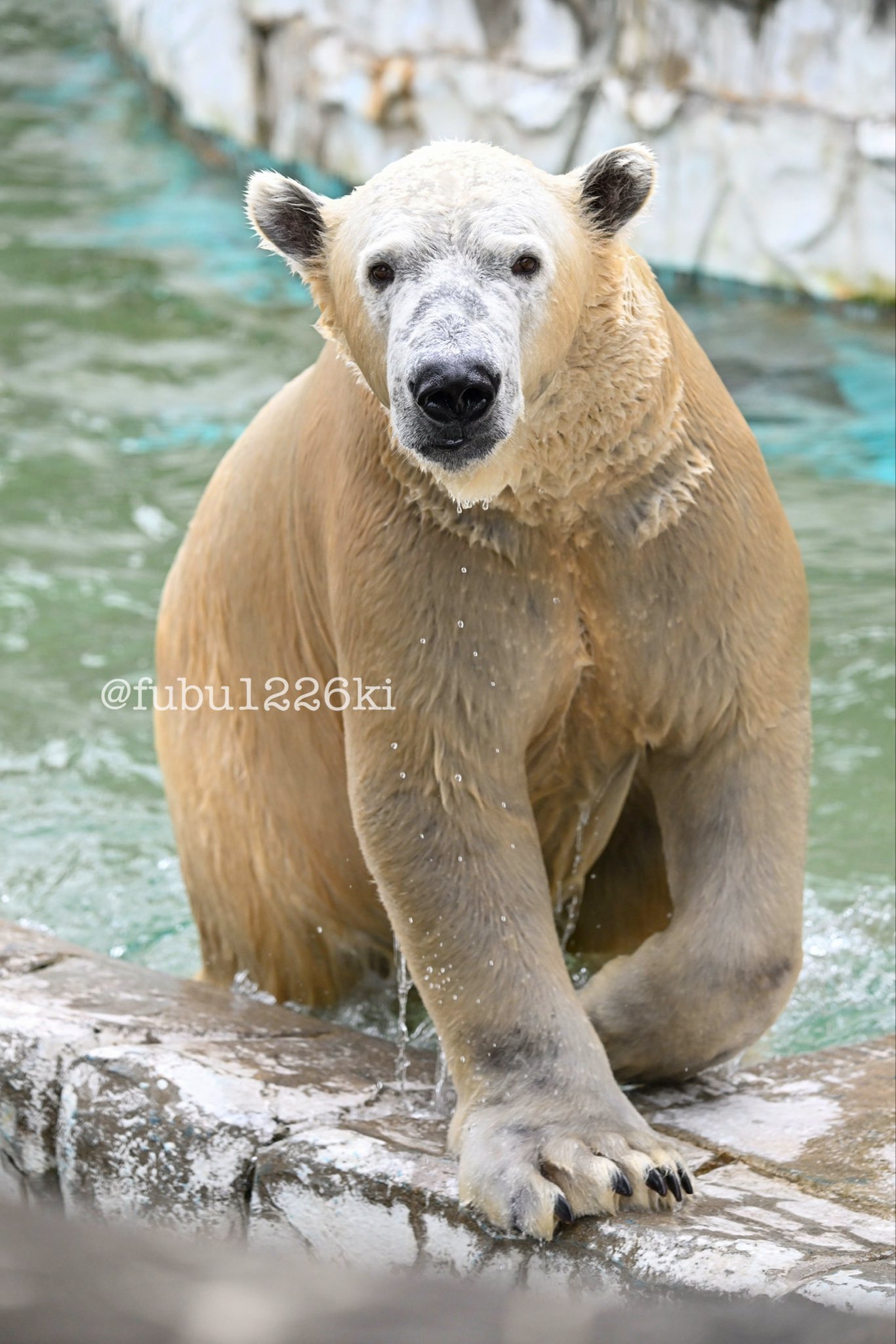 asu (@fubu1226ki) / X