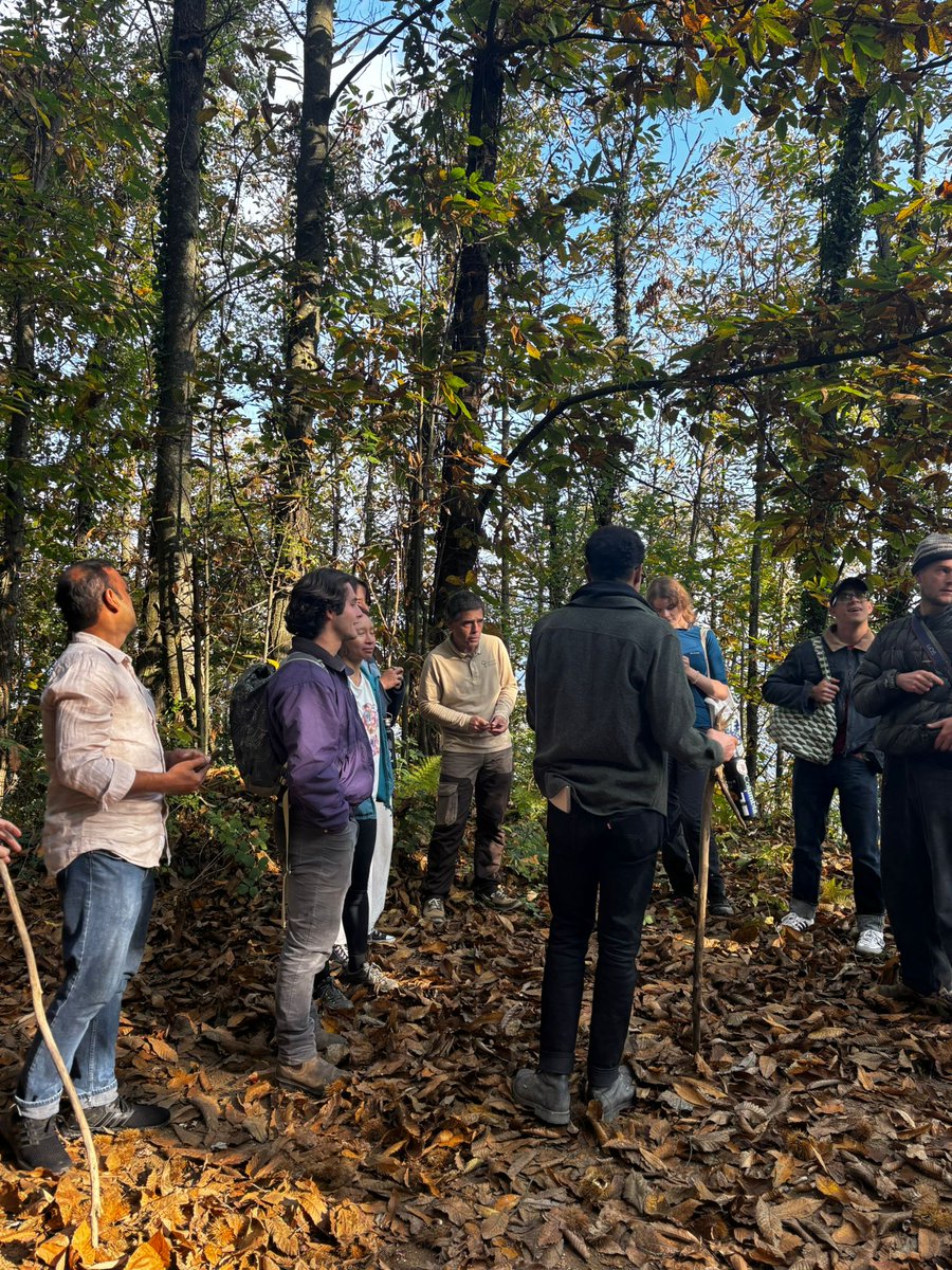 Cooperativa Forestal tweet media